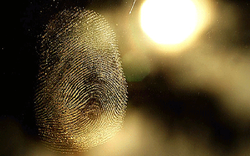 Fingerprint Evidence